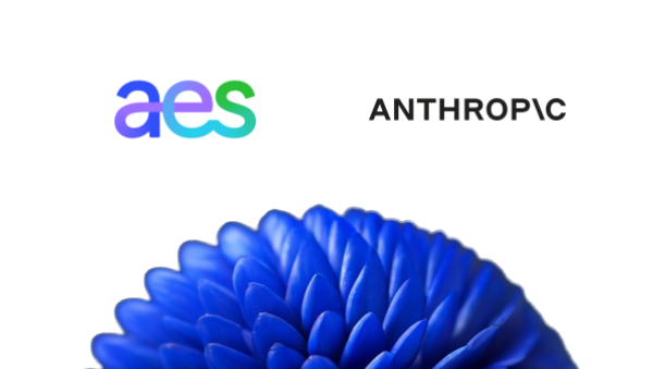 AES + Anthropic Case Study