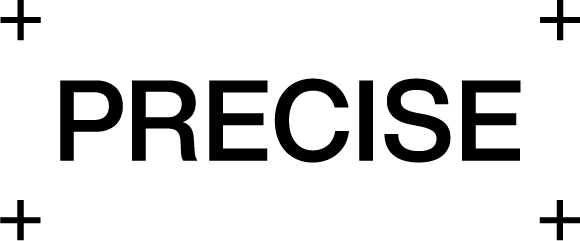 Precise.ai
