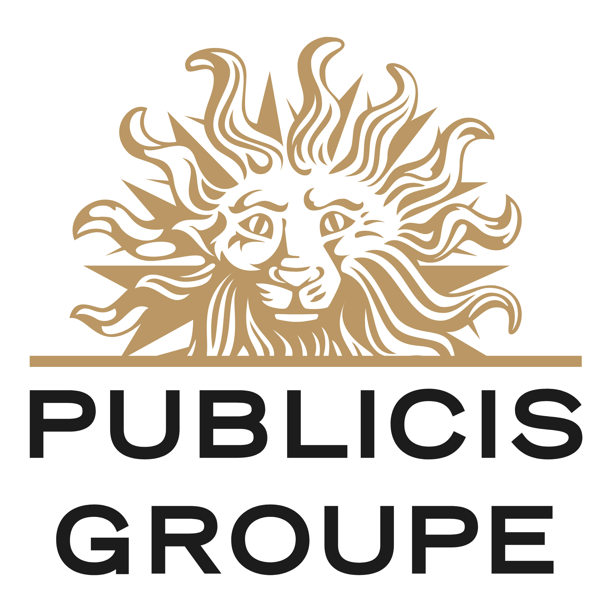 Publicis Groupe USA