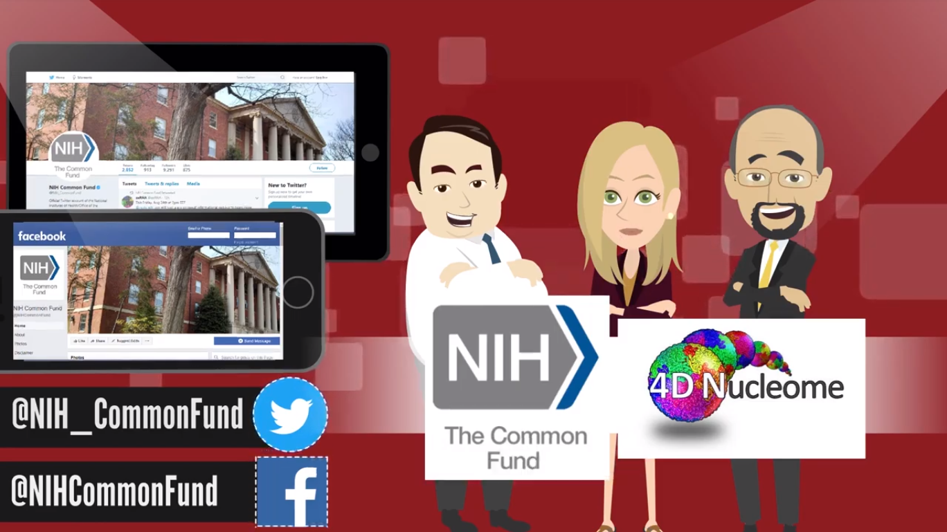 4dn-intro-video-screenshot