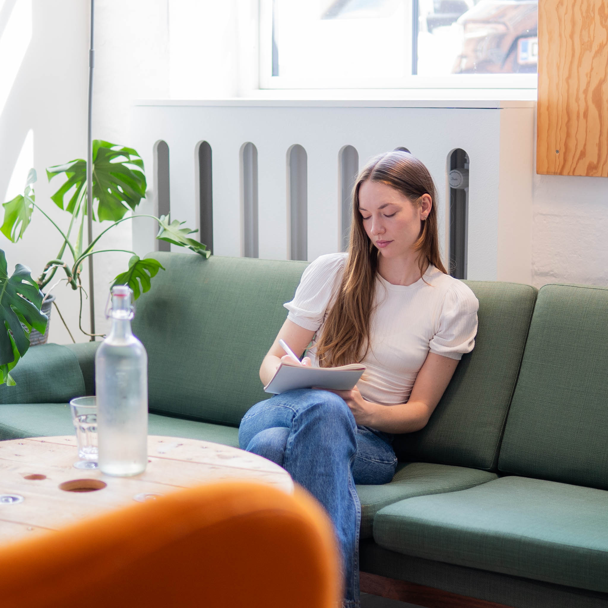 Consultant Anina Vollbach